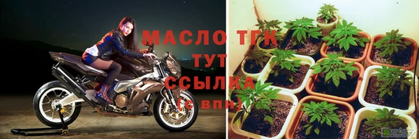 трава Аркадак