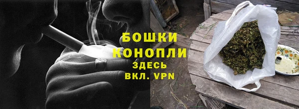 трава Аркадак