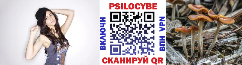 Галлюциногенные грибы мицелий  наркота  Приморск 