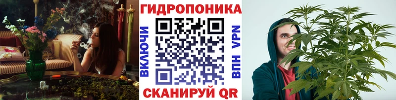 МЕГА онион  это телеграм  Бошки Шишки планчик  Приморск 